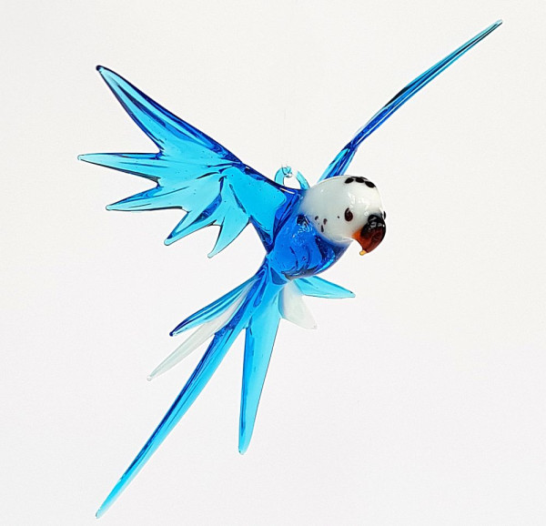 Wellensittich hängend türkis weiß Flügelspannweite ca. 12cm