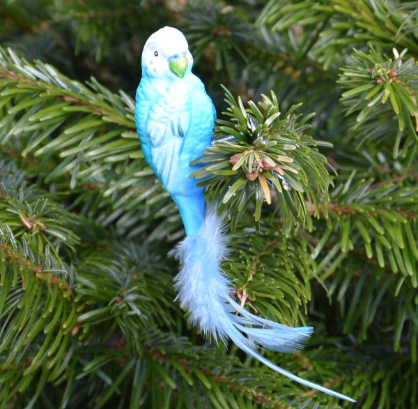 Wellensittich hellblau/türkis mit Naturfedern Länge mit Feder ca. 14 cm