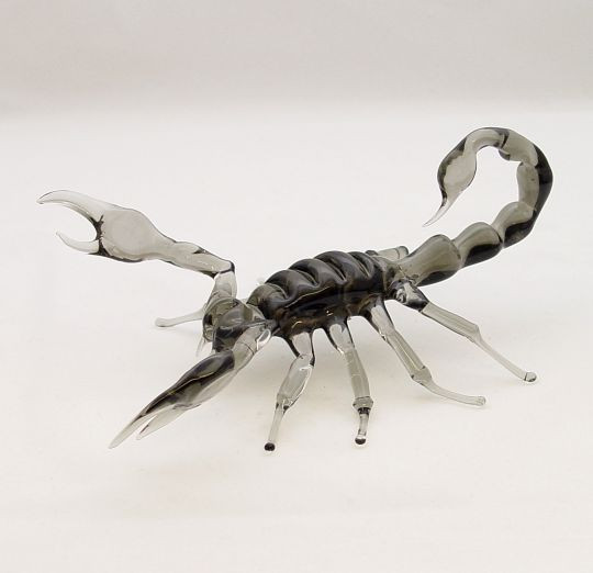 Skorpion groß Breite ca. 12cm  Länge ca. 18cm