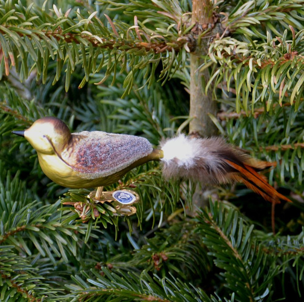 Vogel mit gedrehten Kopf,gespritzt mit Naturfeder Länge mit Naturfeder ca. 16 cm